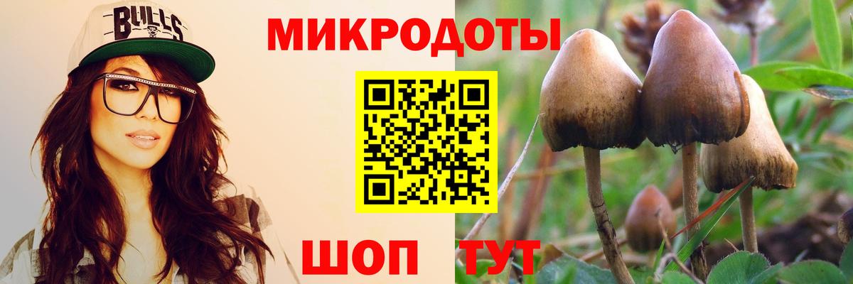 Галлюциногенные грибы MAGIC MUSHROOMS Лесозаводск